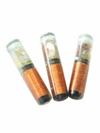 JWM Capsule RFID Tag for Guard Tour System